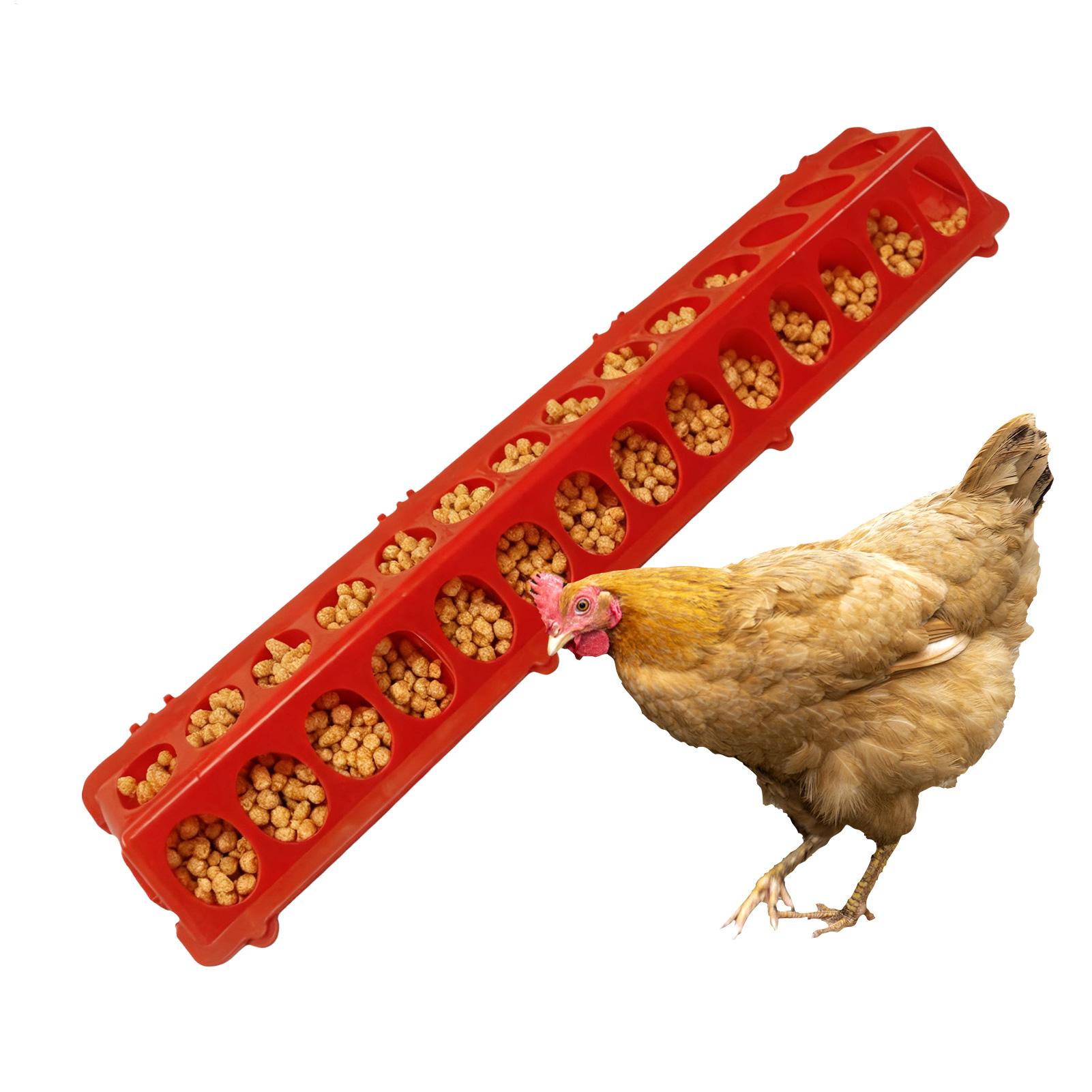Baby Food With Chicken - Comedero para palomas de 28 orificios,