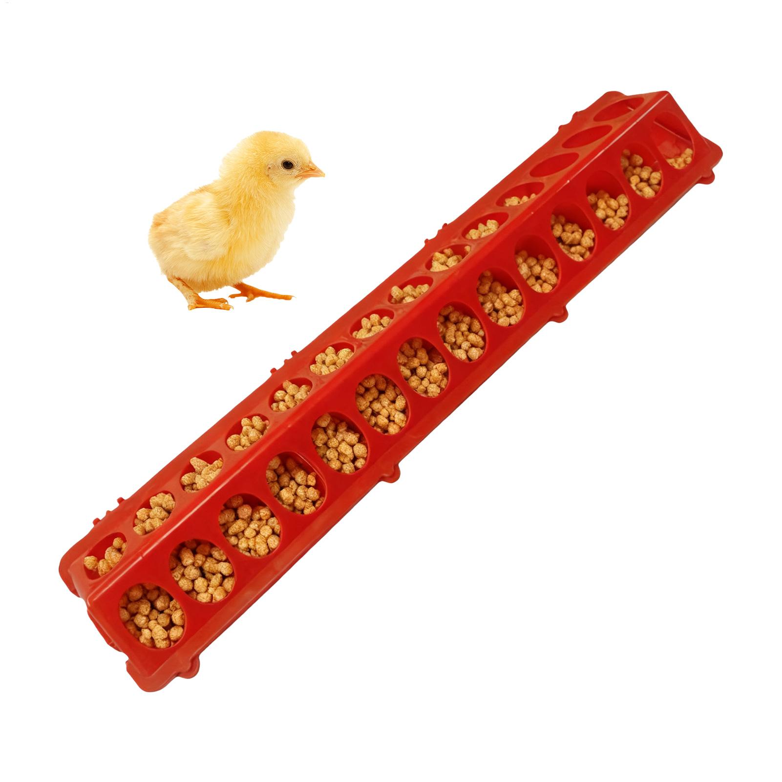 Comedero para palomas de 28 or - Baby Food With Chicken reseña y precio