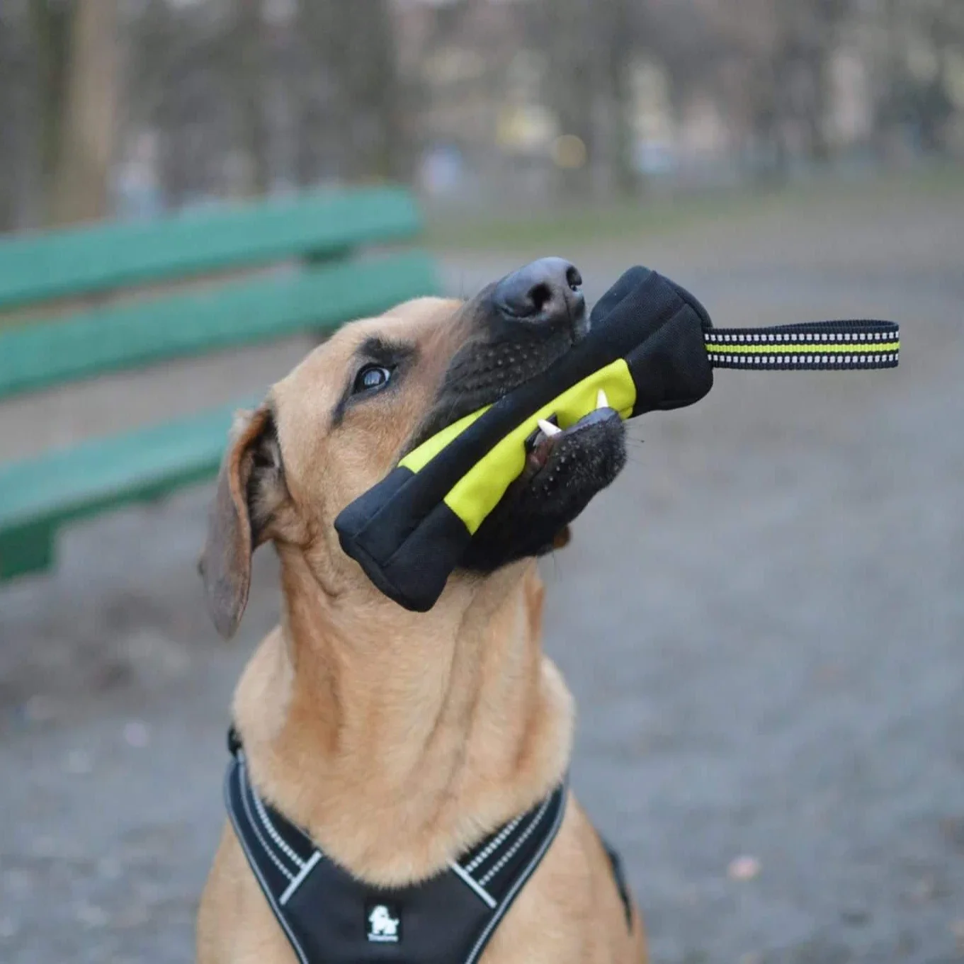 Truelove Dog Training Retrieve - Food Pouch Reusable reseña y precio